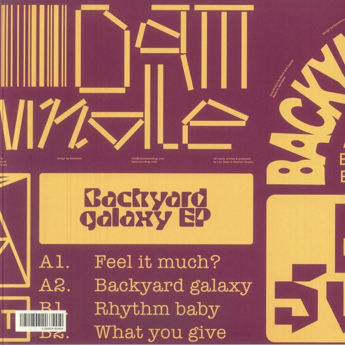 Dam Swindle - Backyard Galaxy EP