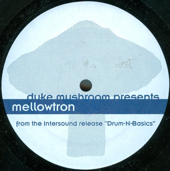 Duke Mushroom Presents Mellowtron - Strange Fly Visitor