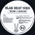 Blak Beat Niks - Now I Know / He's The Man
