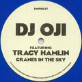 DJ Oji Featuring Tracy Hamlin - Cranes In The Sky