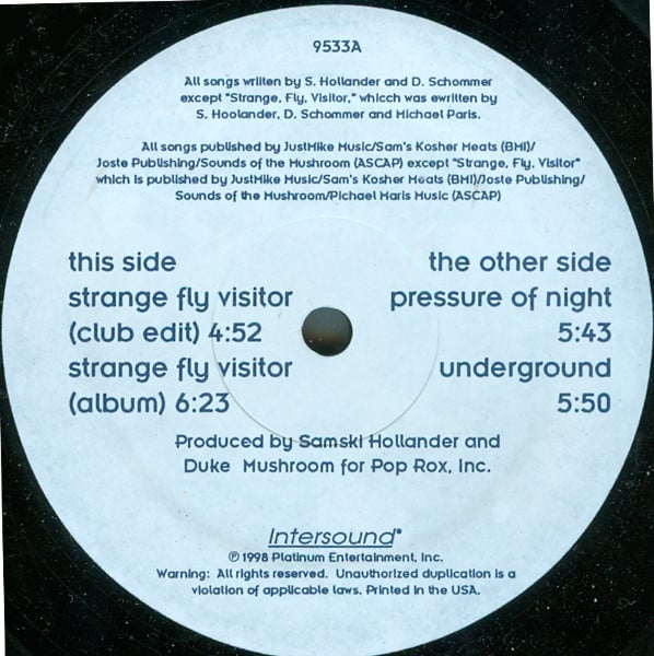 Duke Mushroom Presents Mellowtron - Strange Fly Visitor