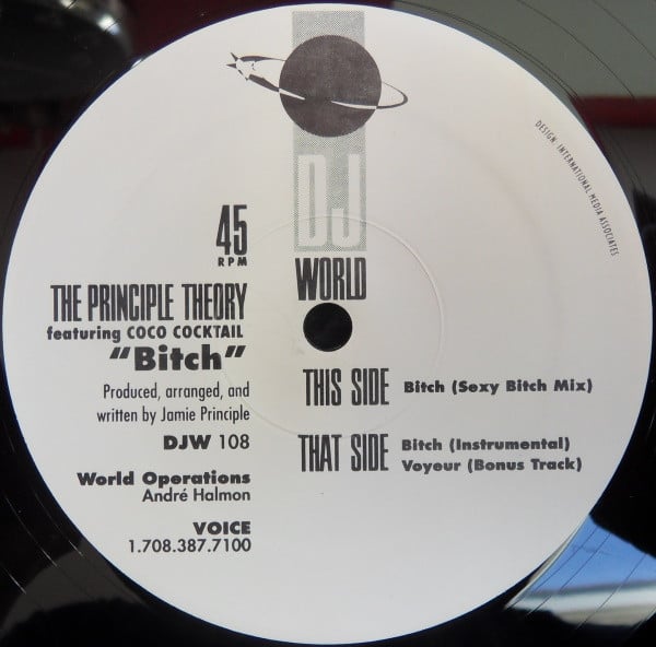 The Principle Theory Featuring Coco Cocktail - Bitch