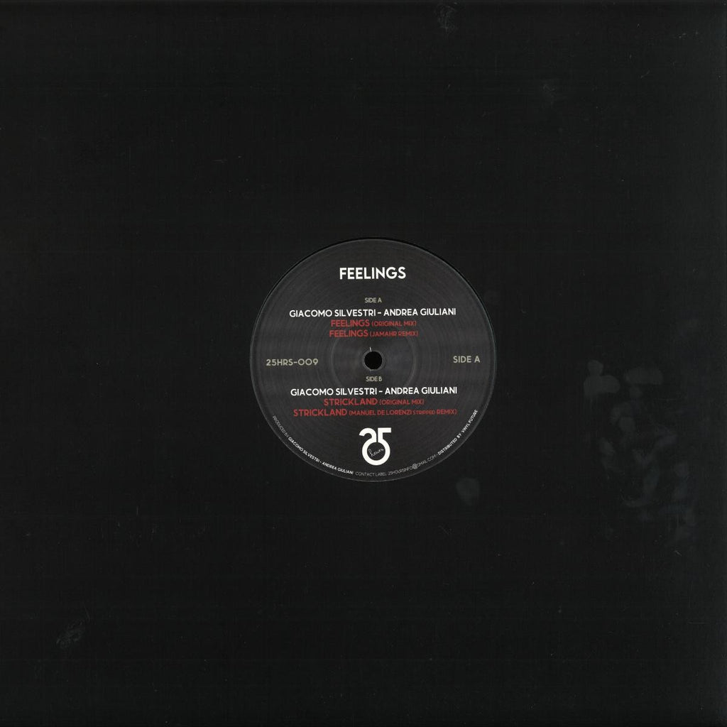 Giacomo Silvestri & Andrea Giuliani - Feelings