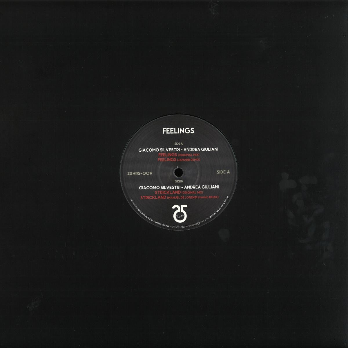 Giacomo Silvestri & Andrea Giuliani - Feelings