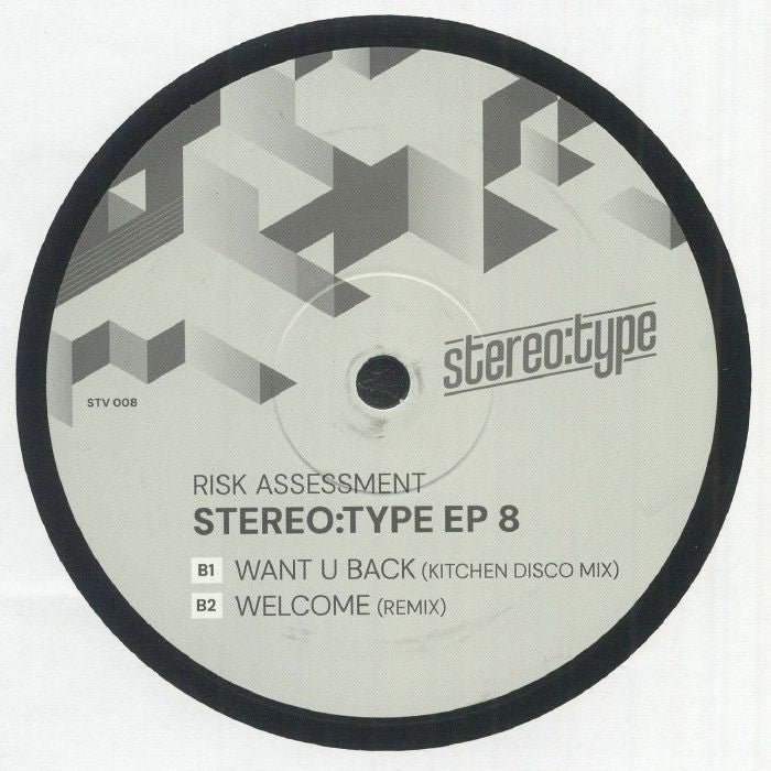 Risk Assessment - Stereo:type EP 8