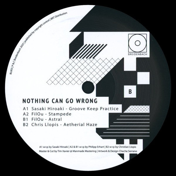 Various - Nothing Can Go Wrong