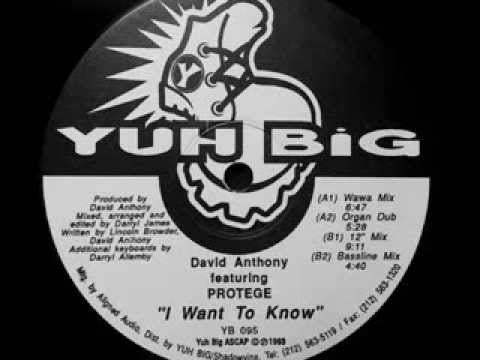 Preview — David Anthony – I Want To Know