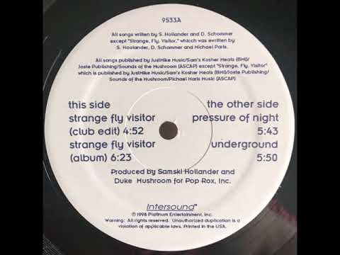 Preview — Duke Mushroom Presents Mellowtron - Strange Fly Visitor