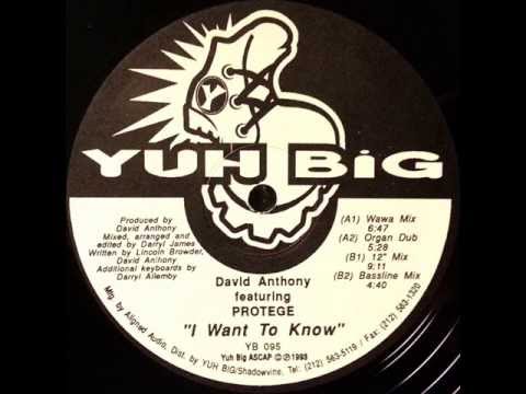 Preview — David Anthony – I Want To Know