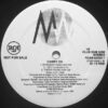 Martha Wash - Carry On (The Todd Terry Released Project)