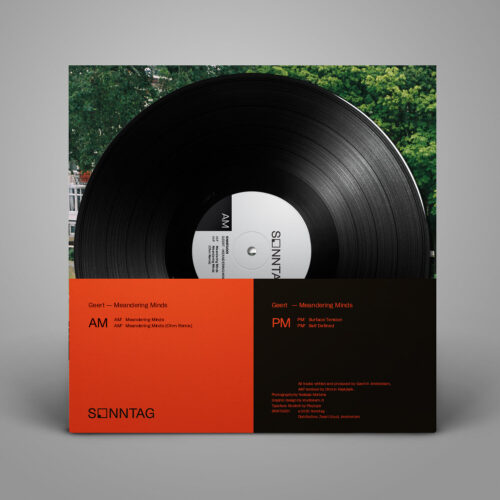 Geert - Meandering Minds EP